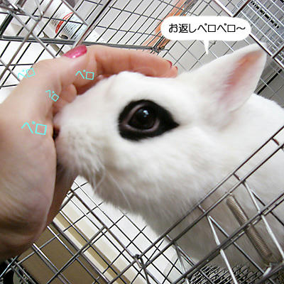 お返しペロペロ