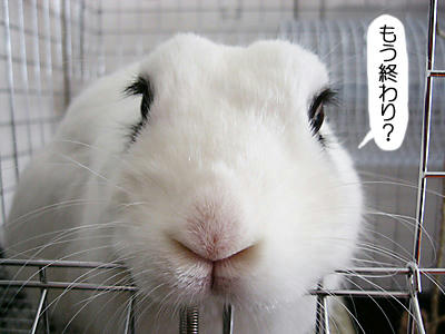 もう終わり？