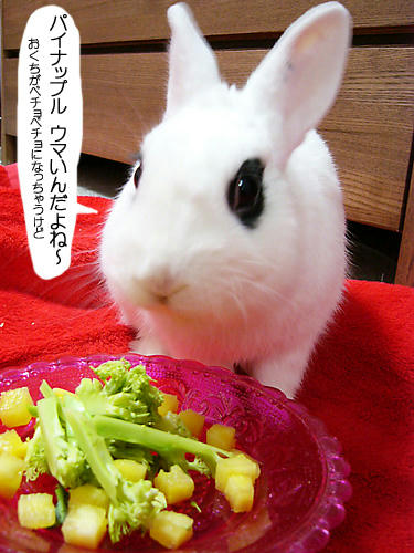パイナップル～♪