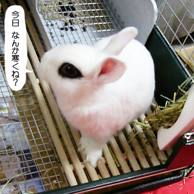 寒くね？