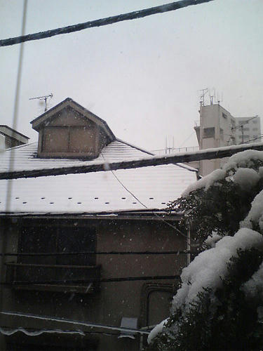 雪！
