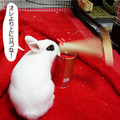 オレより上に立つな