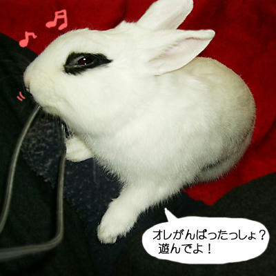 オレがんばった！