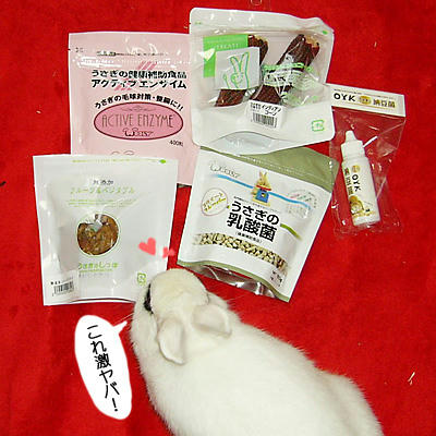 今日のお買い物