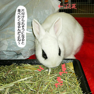 やっぱ食べる！