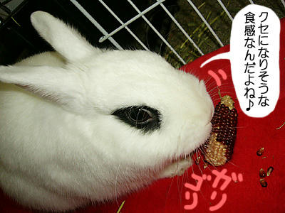 クセになりそうな食感