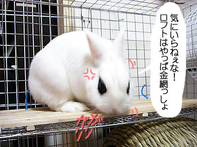これイラネ