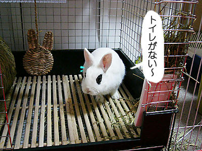 トイレのあった場所で
