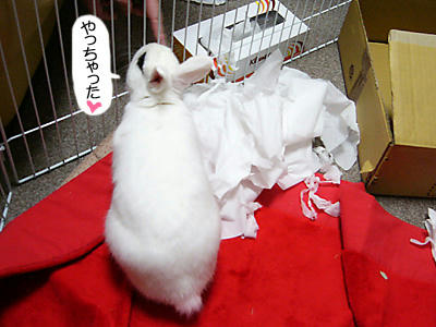 やっちゃった