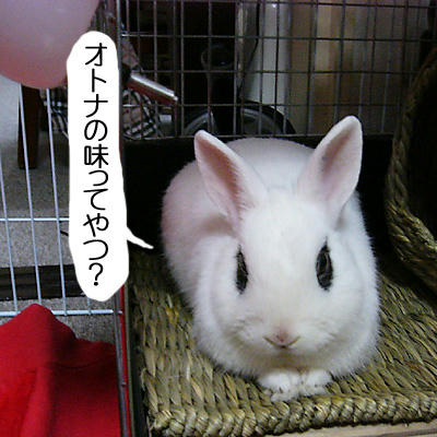 オトナの味