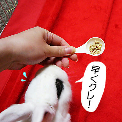 早くクレ