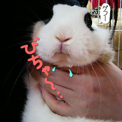 ゲフっとるぜ