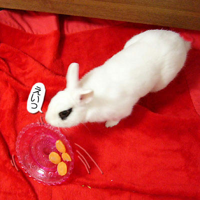 ニンジンイラネ