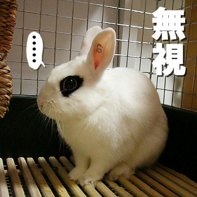 無視ドリ