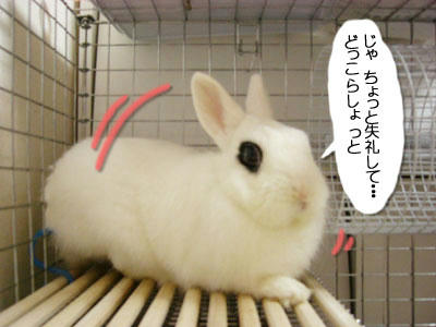 ちょっと失礼