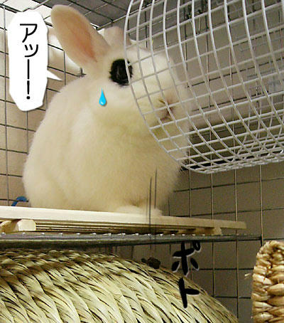 アッー！