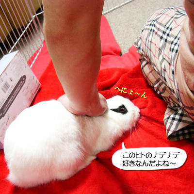 コイツのなで最高