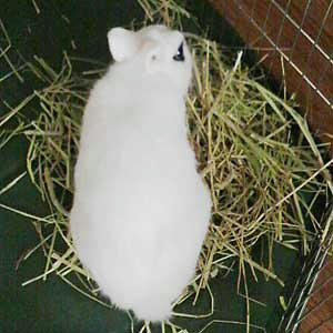 することないから食いまくる