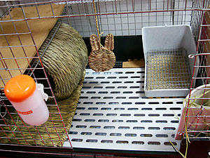 プラすのこ部屋
