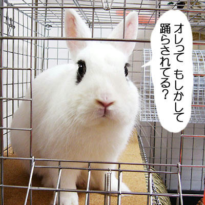 オレってもしかして