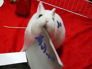 すり３