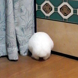 向こう側は何？