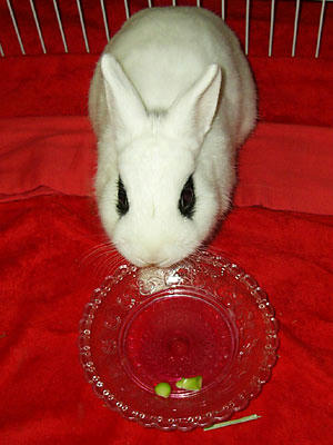 にんじんぺろり