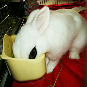 なに食べてんの？