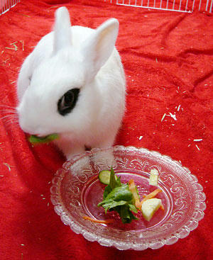 モリモリ食べる