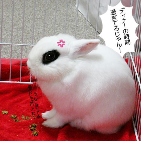 ディナーの時間過ぎてる！