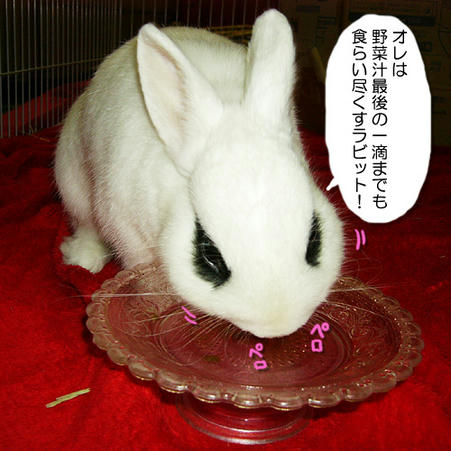 一滴も残さぬ