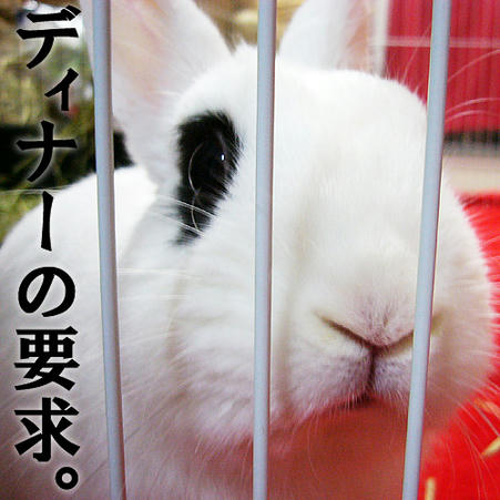 ディナーの要求