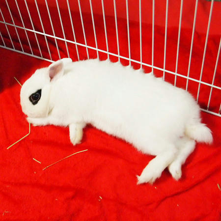 くつろぎ～