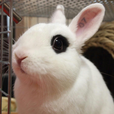 きれいに撮ってよね!