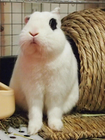 かゆいような？