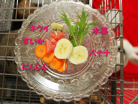 下のほうで白いのがソワソワ
