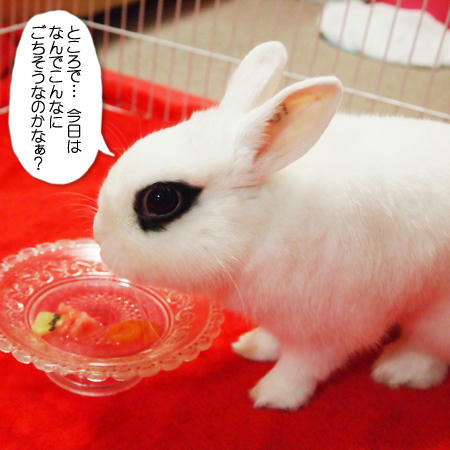 ごちそうに理由なんかいらない