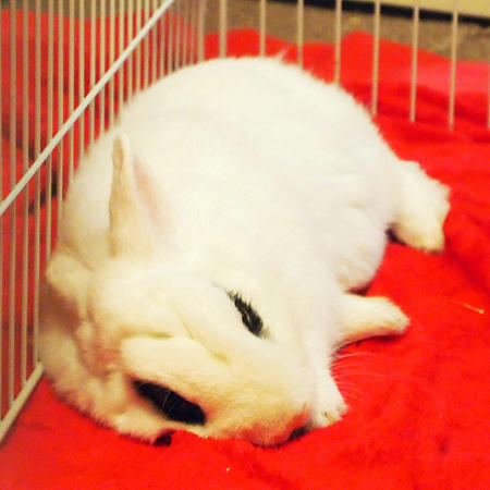 だら～ん・・・
