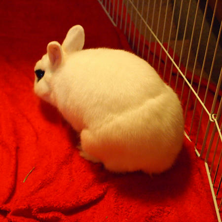 パンツ?