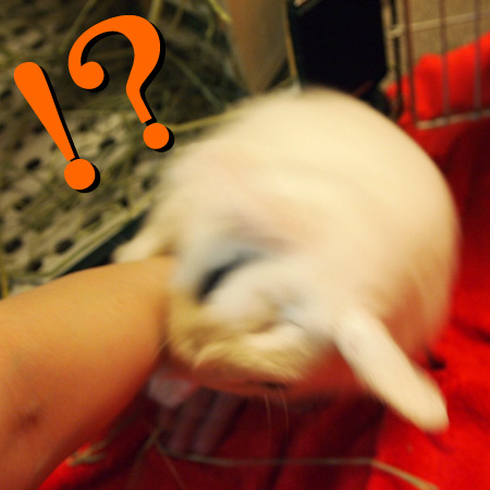 ああぁぁああ!