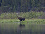 GlacierNP_0034.jpg