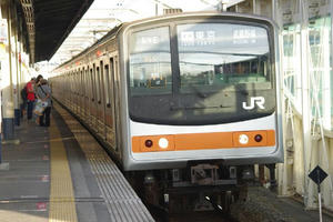 IMGP7396.JPG