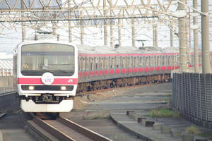 IMGP7925.JPG