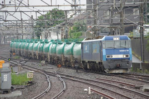 IMGP8675.JPG