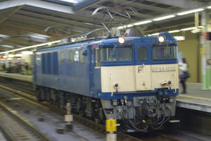 IMGP8707.JPG
