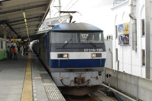 IMGP8778.JPG