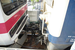 IMGP8806.JPG