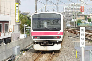 IMGP8811.JPG