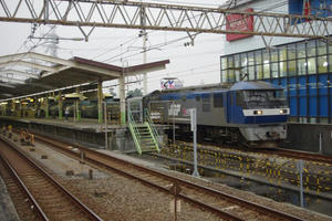 IMGP8895.JPG