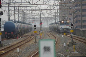 IMGP8921.JPG